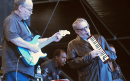 Steely Dan (+ Related)